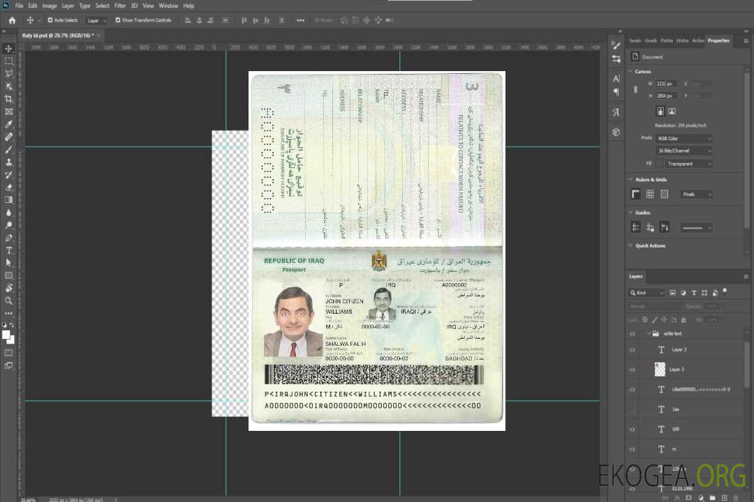Passeport irakien template Passeport irakien template